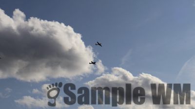 IMG_0034
Keywords: junkers,Mustang,P51,Electra,Blanik,Messerschmitt,ME262,BF 109,Spitfire,Corsair,Lockheed,P38 Lightning