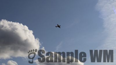 IMG_0036
Keywords: junkers,Mustang,P51,Electra,Blanik,Messerschmitt,ME262,BF 109,Spitfire,Corsair,Lockheed,P38 Lightning