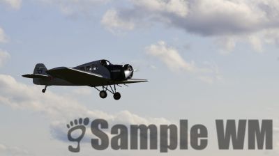 IMG_0050
Keywords: junkers,Mustang,P51,Electra,Blanik,Messerschmitt,ME262,BF 109,Spitfire,Corsair,Lockheed,P38 Lightning