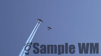 IMG_0059
Keywords: junkers,Mustang,P51,Electra,Blanik,Messerschmitt,ME262,BF 109,Spitfire,Corsair,Lockheed,P38 Lightning