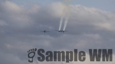 IMG_0063
Keywords: junkers,Mustang,P51,Electra,Blanik,Messerschmitt,ME262,BF 109,Spitfire,Corsair,Lockheed,P38 Lightning