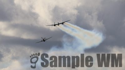 IMG_0088
Keywords: junkers,Mustang,P51,Electra,Blanik,Messerschmitt,ME262,BF 109,Spitfire,Corsair,Lockheed,P38 Lightning