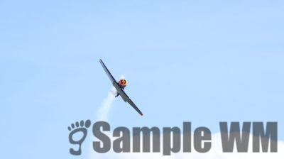 IMG_0095
Keywords: junkers,Mustang,P51,Electra,Blanik,Messerschmitt,ME262,BF 109,Spitfire,Corsair,Lockheed,P38 Lightning