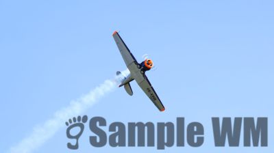 IMG_0112
Keywords: junkers,Mustang,P51,Electra,Blanik,Messerschmitt,ME262,BF 109,Spitfire,Corsair,Lockheed,P38 Lightning