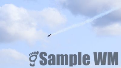 IMG_0121
Keywords: junkers,Mustang,P51,Electra,Blanik,Messerschmitt,ME262,BF 109,Spitfire,Corsair,Lockheed,P38 Lightning