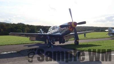 IMG_0134
Keywords: junkers,Mustang,P51,Electra,Blanik,Messerschmitt,ME262,BF 109,Spitfire,Corsair,Lockheed,P38 Lightning