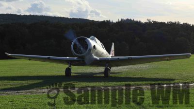 IMG_0139
Keywords: junkers,Mustang,P51,Electra,Blanik,Messerschmitt,ME262,BF 109,Spitfire,Corsair,Lockheed,P38 Lightning