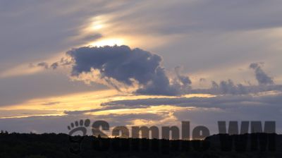 IMG_0174
Keywords: junkers,Mustang,P51,Electra,Blanik,Messerschmitt,ME262,BF 109,Spitfire,Corsair,Lockheed,P38 Lightning