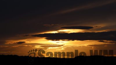 IMG_0226
Keywords: junkers,Mustang,P51,Electra,Blanik,Messerschmitt,ME262,BF 109,Spitfire,Corsair,Lockheed,P38 Lightning