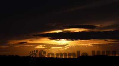 IMG_0227
Keywords: junkers,Mustang,P51,Electra,Blanik,Messerschmitt,ME262,BF 109,Spitfire,Corsair,Lockheed,P38 Lightning