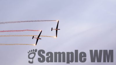 IMG_0308
Keywords: junkers,Mustang,P51,Electra,Blanik,Messerschmitt,ME262,BF 109,Spitfire,Corsair,Lockheed,P38 Lightning