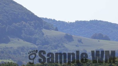 IMG_0355
Keywords: junkers,Mustang,P51,Electra,Blanik,Messerschmitt,ME262,BF 109,Spitfire,Corsair,Lockheed,P38 Lightning