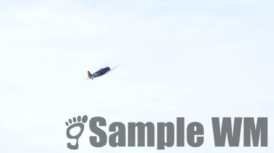 IMG_0385
Keywords: junkers,Mustang,P51,Electra,Blanik,Messerschmitt,ME262,BF 109,Spitfire,Corsair,Lockheed,P38 Lightning