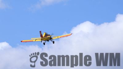 IMG_0423
Keywords: junkers,Mustang,P51,Electra,Blanik,Messerschmitt,ME262,BF 109,Spitfire,Corsair,Lockheed,P38 Lightning