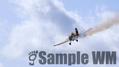 IMG_0433
Keywords: junkers,Mustang,P51,Electra,Blanik,Messerschmitt,ME262,BF 109,Spitfire,Corsair,Lockheed,P38 Lightning