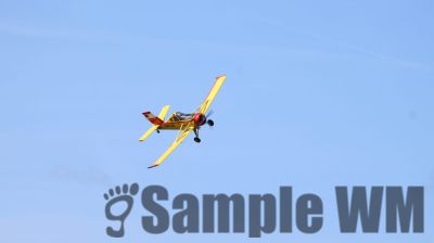 IMG_0445
Keywords: junkers,Mustang,P51,Electra,Blanik,Messerschmitt,ME262,BF 109,Spitfire,Corsair,Lockheed,P38 Lightning