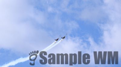 IMG_0464
Keywords: junkers,Mustang,P51,Electra,Blanik,Messerschmitt,ME262,BF 109,Spitfire,Corsair,Lockheed,P38 Lightning