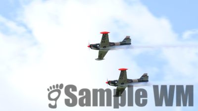 IMG_0496
Keywords: junkers,Mustang,P51,Electra,Blanik,Messerschmitt,ME262,BF 109,Spitfire,Corsair,Lockheed,P38 Lightning