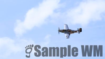 IMG_0512
Keywords: junkers,Mustang,P51,Electra,Blanik,Messerschmitt,ME262,BF 109,Spitfire,Corsair,Lockheed,P38 Lightning