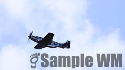 IMG_0516
Keywords: junkers,Mustang,P51,Electra,Blanik,Messerschmitt,ME262,BF 109,Spitfire,Corsair,Lockheed,P38 Lightning