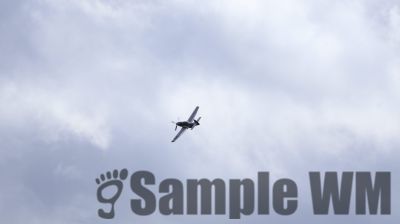 IMG_0526
Keywords: junkers,Mustang,P51,Electra,Blanik,Messerschmitt,ME262,BF 109,Spitfire,Corsair,Lockheed,P38 Lightning