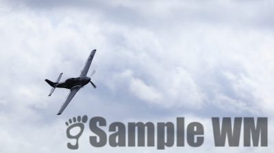 IMG_0534
Keywords: junkers,Mustang,P51,Electra,Blanik,Messerschmitt,ME262,BF 109,Spitfire,Corsair,Lockheed,P38 Lightning