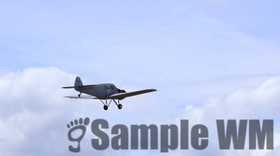 IMG_0537
Keywords: junkers,Mustang,P51,Electra,Blanik,Messerschmitt,ME262,BF 109,Spitfire,Corsair,Lockheed,P38 Lightning