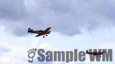 IMG_0542
Keywords: junkers,Mustang,P51,Electra,Blanik,Messerschmitt,ME262,BF 109,Spitfire,Corsair,Lockheed,P38 Lightning