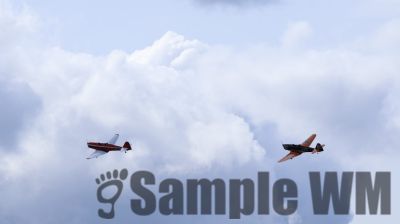 IMG_0544
Keywords: junkers,Mustang,P51,Electra,Blanik,Messerschmitt,ME262,BF 109,Spitfire,Corsair,Lockheed,P38 Lightning