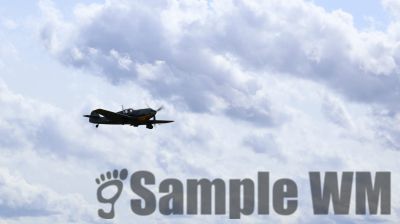 IMG_0559
Keywords: junkers,Mustang,P51,Electra,Blanik,Messerschmitt,ME262,BF 109,Spitfire,Corsair,Lockheed,P38 Lightning