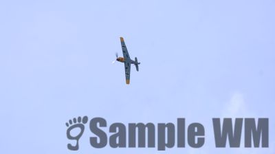 IMG_0563
Keywords: junkers,Mustang,P51,Electra,Blanik,Messerschmitt,ME262,BF 109,Spitfire,Corsair,Lockheed,P38 Lightning