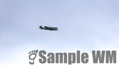 IMG_0568
Keywords: junkers,Mustang,P51,Electra,Blanik,Messerschmitt,ME262,BF 109,Spitfire,Corsair,Lockheed,P38 Lightning