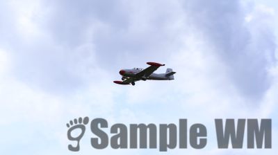 IMG_0584
Keywords: junkers,Mustang,P51,Electra,Blanik,Messerschmitt,ME262,BF 109,Spitfire,Corsair,Lockheed,P38 Lightning