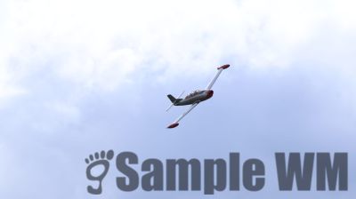 IMG_0597
Keywords: junkers,Mustang,P51,Electra,Blanik,Messerschmitt,ME262,BF 109,Spitfire,Corsair,Lockheed,P38 Lightning