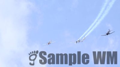 IMG_0663
Keywords: junkers,Mustang,P51,Electra,Blanik,Messerschmitt,ME262,BF 109,Spitfire,Corsair,Lockheed,P38 Lightning