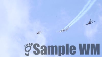 IMG_0666
Keywords: junkers,Mustang,P51,Electra,Blanik,Messerschmitt,ME262,BF 109,Spitfire,Corsair,Lockheed,P38 Lightning