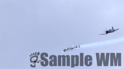 IMG_0688
Keywords: junkers,Mustang,P51,Electra,Blanik,Messerschmitt,ME262,BF 109,Spitfire,Corsair,Lockheed,P38 Lightning