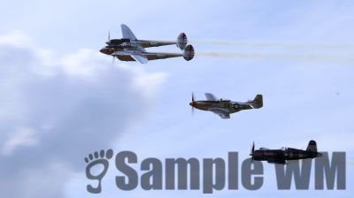 IMG_0858
Keywords: junkers,Mustang,P51,Electra,Blanik,Messerschmitt,ME262,BF 109,Spitfire,Corsair,Lockheed,P38 Lightning