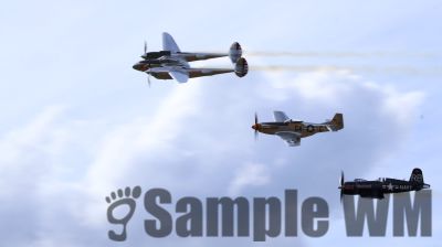 IMG_0860
Keywords: junkers,Mustang,P51,Electra,Blanik,Messerschmitt,ME262,BF 109,Spitfire,Corsair,Lockheed,P38 Lightning