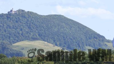 IMG_0893
Keywords: junkers,Mustang,P51,Electra,Blanik,Messerschmitt,ME262,BF 109,Spitfire,Corsair,Lockheed,P38 Lightning