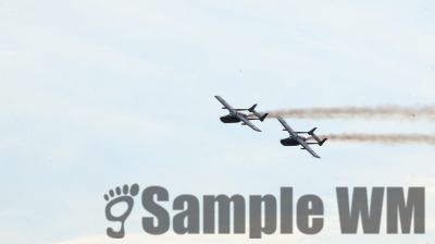 IMG_1140
Keywords: junkers,Mustang,P51,Electra,Blanik,Messerschmitt,ME262,BF 109,Spitfire,Corsair,Lockheed,P38 Lightning