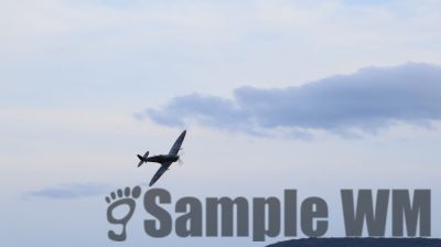 IMG_1278
Keywords: junkers,Mustang,P51,Electra,Blanik,Messerschmitt,ME262,BF 109,Spitfire,Corsair,Lockheed,P38 Lightning