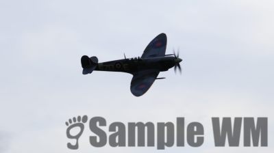 IMG_1304
Keywords: junkers,Mustang,P51,Electra,Blanik,Messerschmitt,ME262,BF 109,Spitfire,Corsair,Lockheed,P38 Lightning