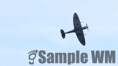 IMG_1463
Keywords: junkers,Mustang,P51,Electra,Blanik,Messerschmitt,ME262,BF 109,Spitfire,Corsair,Lockheed,P38 Lightning