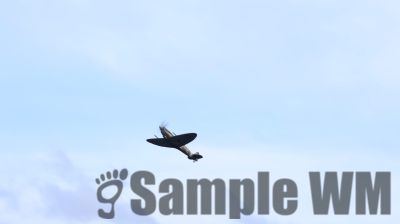 IMG_1621
Keywords: junkers,Mustang,P51,Electra,Blanik,Messerschmitt,ME262,BF 109,Spitfire,Corsair,Lockheed,P38 Lightning