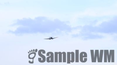 IMG_1654
Keywords: junkers,Mustang,P51,Electra,Blanik,Messerschmitt,ME262,BF 109,Spitfire,Corsair,Lockheed,P38 Lightning