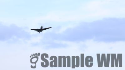 IMG_1660
Keywords: junkers,Mustang,P51,Electra,Blanik,Messerschmitt,ME262,BF 109,Spitfire,Corsair,Lockheed,P38 Lightning